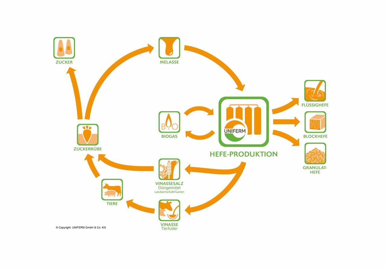 UNIFERM ressourcenschonender Prozess bei der Hefe-Herstellung.