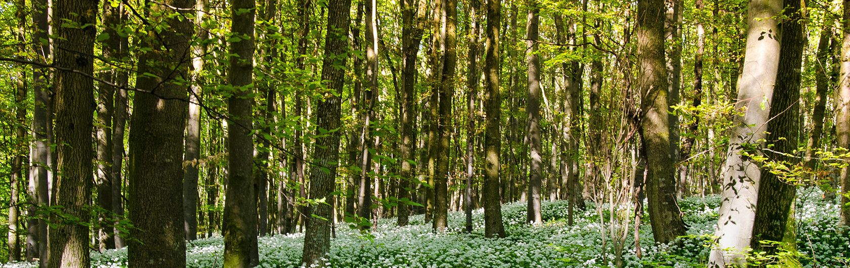 Nachhaltigkeit liegt uns am Herzen