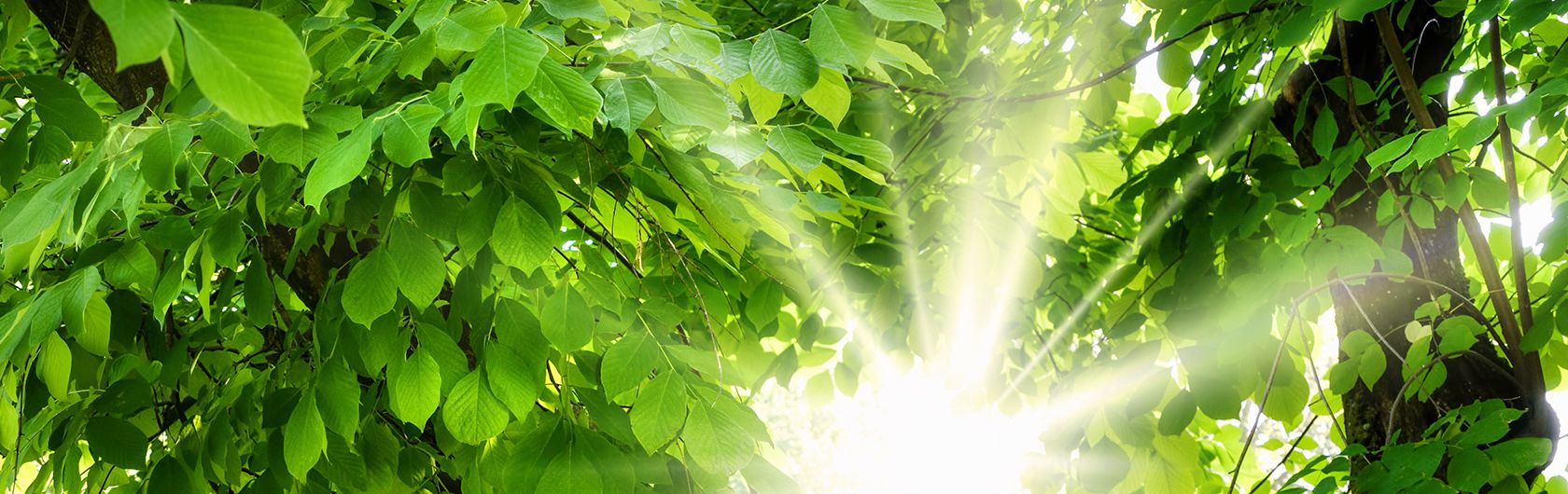 Nachhaltigkeit liegt uns am Herzen