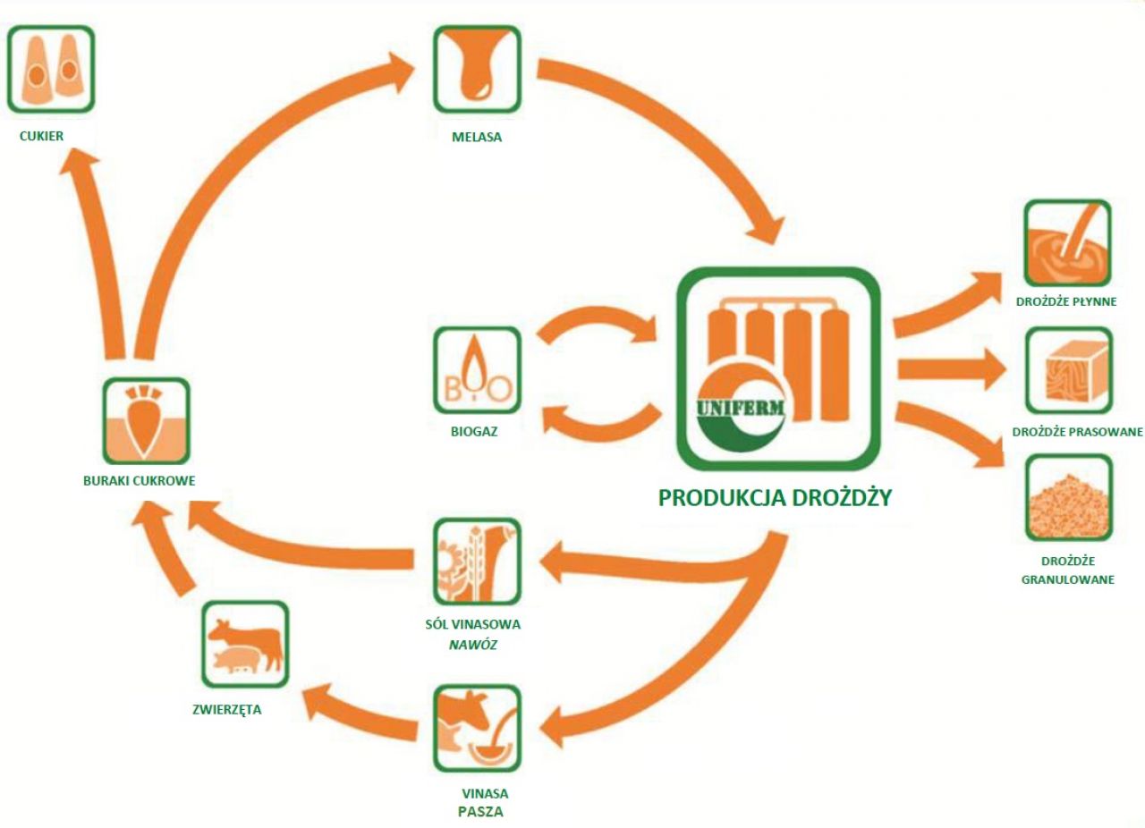 Ressourcenschonende Hefe-Herstellung bei UNIFERM
